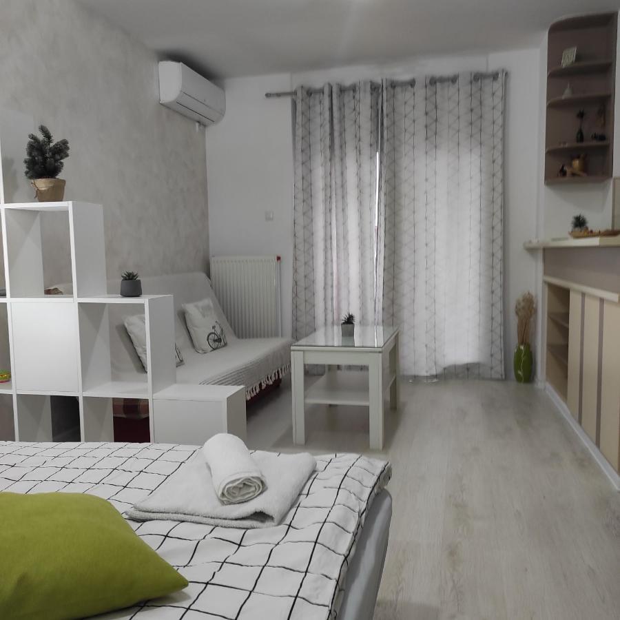 Apartman Jevrejska 巴尼西卢卡 外观 照片