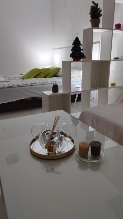 Apartman Jevrejska 巴尼西卢卡 外观 照片